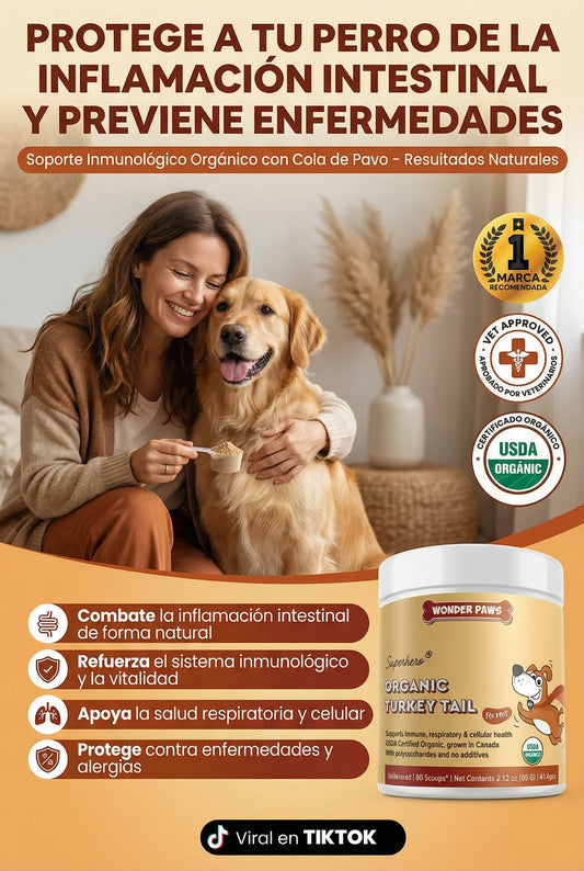 HONGO COLA DE PAVO WONDER PAWS